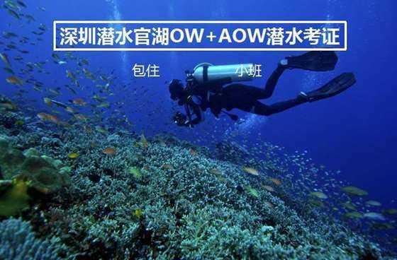 逃离陈旧房4